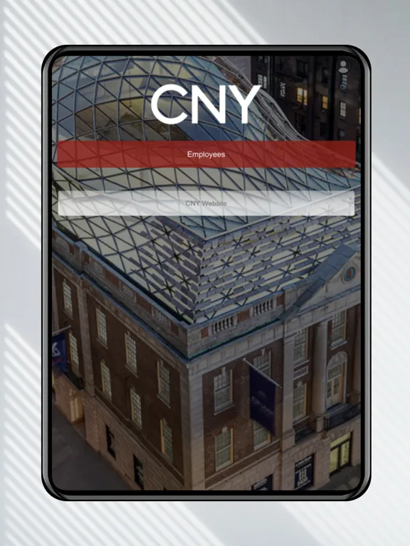 Скриншоты CNY Group iPad 
